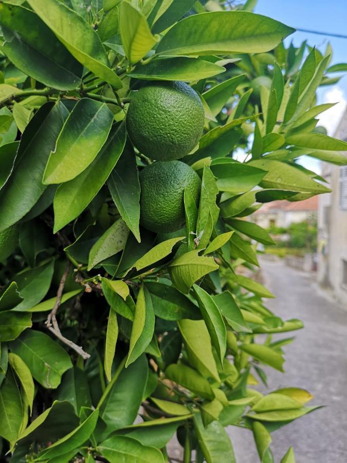 Casa Segota Hotel Veli Iž Kültér fotó