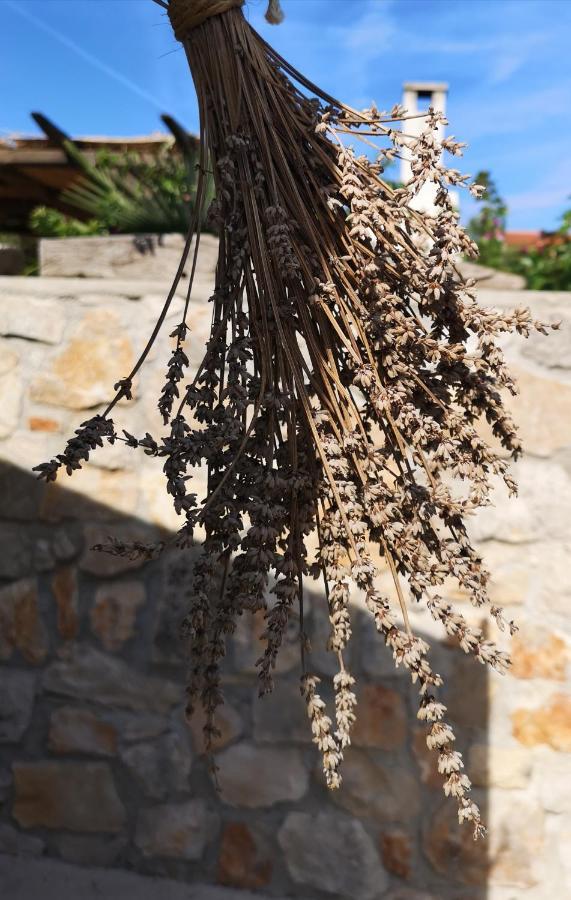 Casa Segota Hotel Veli Iž Kültér fotó